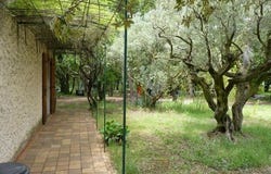 MAZAN, Provence-Alpes-Côte d'Azur 84380