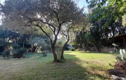 Montpellier, Languedoc-Roussillon 34000