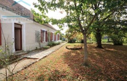 Roffey, Burgundy 89700