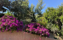 Sagone, Corsica 20118