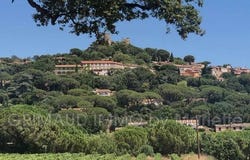 Grimaud, Provence-Alpes-Côte d'Azur 83310