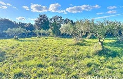 Saint-Siffret, Occitanie 30700
