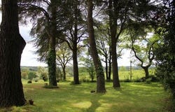 MORTAGNE SUR SEVRE, Pays de la Loire 85290