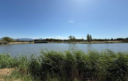 Saint-Cyprien, Languedoc-Roussillon 66750