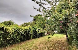 Le Loroux-Bottereau, Pays de la Loire 44430