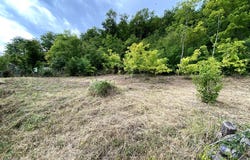 Marcilly-sur-Vienne, Indre-et-Loire 37800