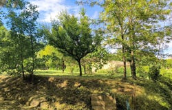 Uzès, Languedoc-Roussillon 30700