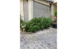 Paris, Paris, Île-de-France 75004