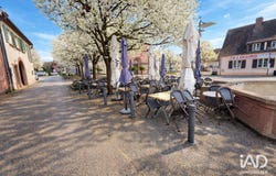 SIGOLSHEIM, Grand Est 68240