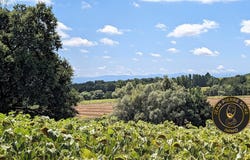 Lacaugne, Midi-Pyrénées 31390