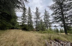 Cahors, Lot 46000