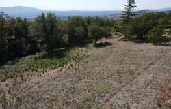 MARCY, Auvergne-Rhône-Alpes 69480