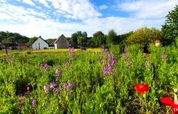 Naours, Hauts-de-France 80260