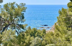 Saint-Mandrier-sur-Mer, Provence-Alpes-Côte d'Azur 83430