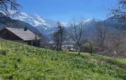 Servoz, Haute-Savoie 74310