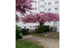 Grenoble, Isère 38100