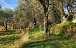 Contes, Provence-Alpes-Côte-d'Azur 06390