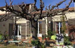 Carpentras, Provence-Alpes-Côte d'Azur 84200
