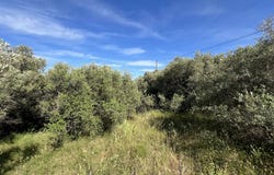La Ciotat, Bouches-du-Rhône 13600