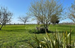 Vanzac, Poitou-Charentes 17500