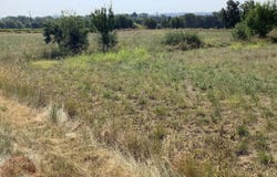 Aigremont, Gard 30350