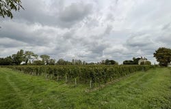Saint-Émilion, Nouvelle-Aquitaine 33330