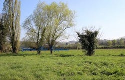 ARTIGUELOUTAN, Aquitaine 64420