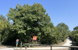 Hiers-Brouage, Poitou-Charentes 17320