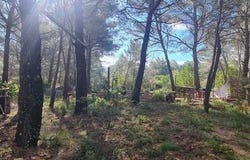 Le Beausset, Provence-Alpes-Côte d'Azur 83330