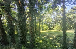 Montboucher-sur-Jabron, Auvergne-Rhône-Alpes 26740