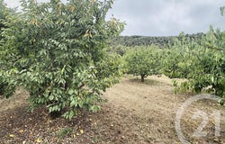 Reynès, Languedoc-Roussillon 66400