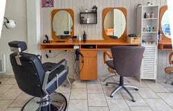 Longue-Jumelles, Pays de la Loire 49160