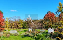 Blanquefort, BLANQUEFORT SUR BRIOLANCE, Nouvelle-Aquitaine 47500