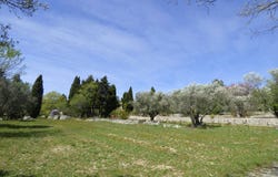FAYENCE HH-15777836, Fayence, Provence-Alpes-Côte d'Azur 83440