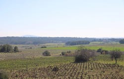 Montagnac, Hérault 34530