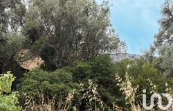 Le Revest-les-Eaux, Provence-Alpes-Côte d'Azur 83200