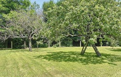 Villeneuve, Rhône-Alpes 01480