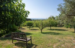 Le Barroux, Provence-Alpes-Côte-d'Azur 84330