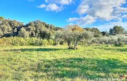 Saint-Siffret, Occitanie 30700