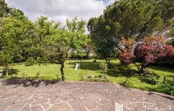 Montdragon, Tarn 81440