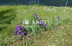 Jonchery-Sur-Vesle, Champagne-Ardenne 51140