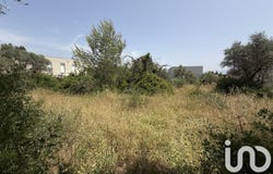 Le Cannet-des-Maures, Provence-Alpes-Côte d'Azur 83340