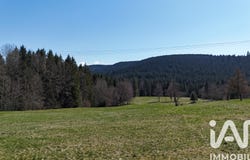 Gérardmer, Grand Est 88400