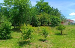 Labatut Riviere, Occitanie 65700