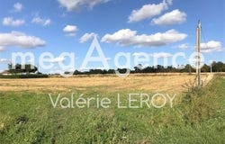 Marcellus, Aquitaine 47200