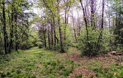 PUYCALVEL, Midi-Pyrénées 81440