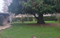 CHATEAUNEUF LA FORET, Nouvelle-Aquitaine 87130