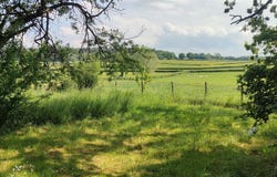 Charolles, Burgundy 71120