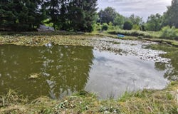 Épinal, Grand Est 88000