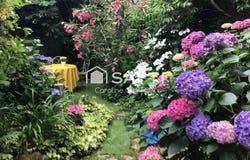 Mortagne-Sur-Sevre, Pays de la Loire 85290